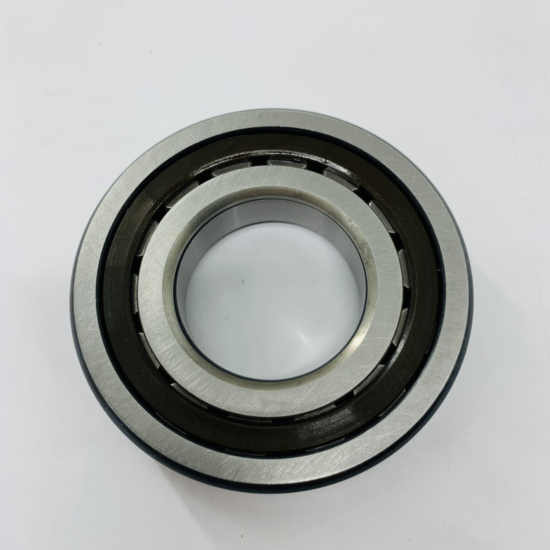 De Kleurenzilver van graafwerktuigslewing motor bearing AP5S67