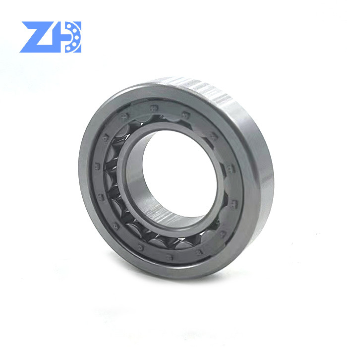 De Grootte 45*85*19 Mm van graafwerktuigcylindrical roller bearing Zz 2rs NJ209E