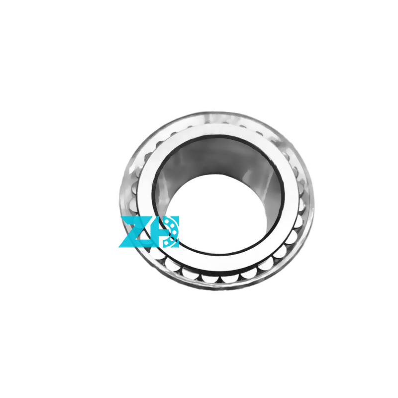 F-229575 Dubbele rij cilindrische rollagers 38*55,9*29,5 mm voor hoge precisie en laadcapaciteit