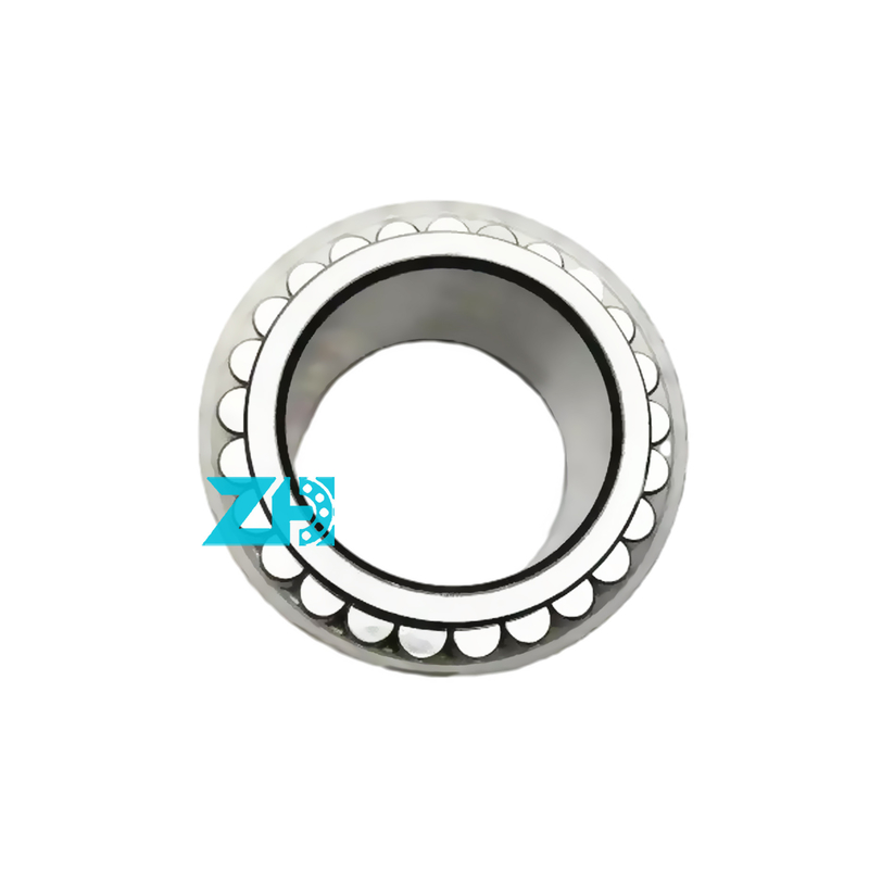 F-227653 30x46.650x27mm dubbelrij rollagers met hoge precisie en laadcapaciteit GCR15