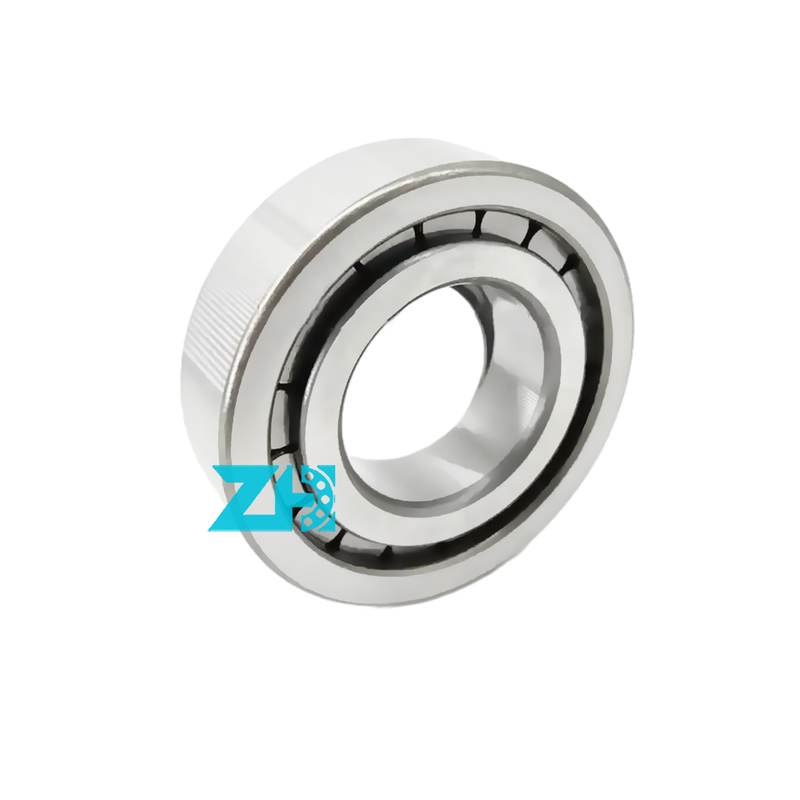 Hydraulische pomplagers F-203740.nup 25x54x21 mm enkelrijdige cilindrische rollagers F-203740