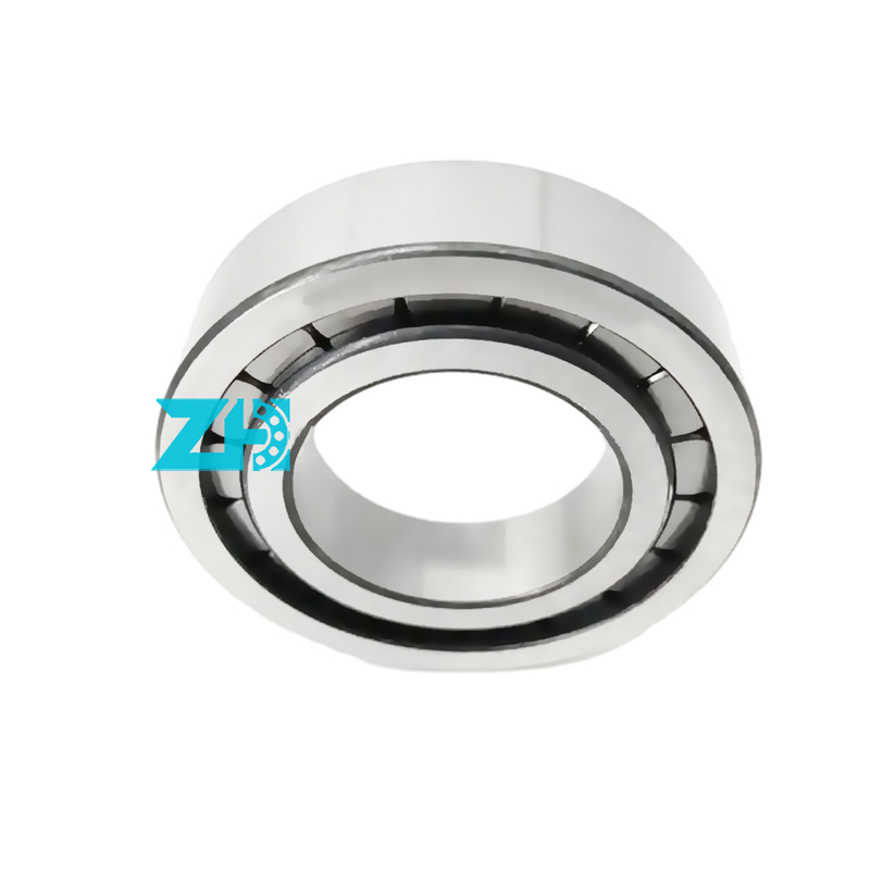 Hydraulische pomplagers F-203740.nup 25x54x21 mm enkelrijdige cilindrische rollagers F-203740