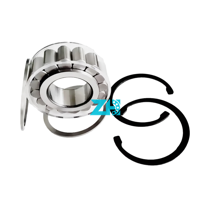 Eenvoudige rij volwaardig cilindrisch rollager INA SL183013-A-XL 65 mm I.D.