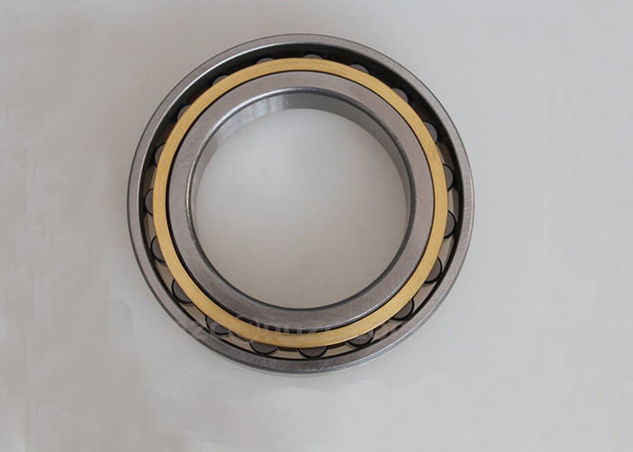 Dubbele het Lagernn3006k grootte Met lange levensuur 30*55*19 mm van de Rij Cilindrische Rol